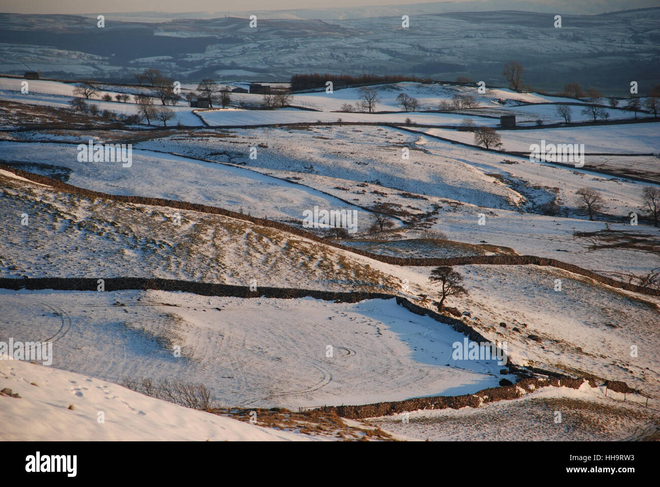 Die schneebedeckte Landschaft von Yorkshire, die von der untergehenden Sonne beleuchtet wird und im Winter durchzogen trockene Steinmauern und vereinzelte Bäume zeigt Stockfoto