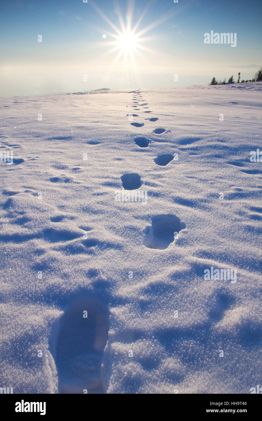 Winter, Sonnenuntergang, Schritte, Schritt, Sinn, Track, Sunbeam, Schnee, Glanz, glänzt, Stockfoto