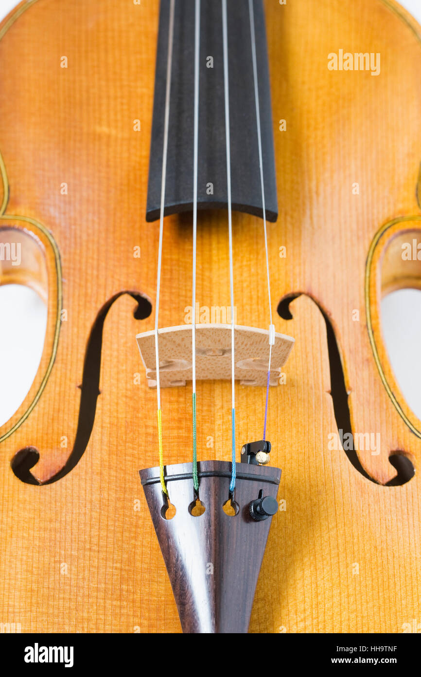 Nahaufnahme einer Geige zeigt die Brücke. Stockfoto