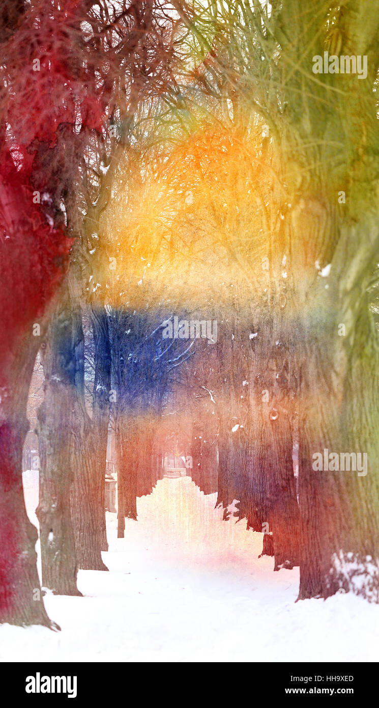 Fotos Hintergrund mit schönen Allee von Bäumen im park Stockfoto