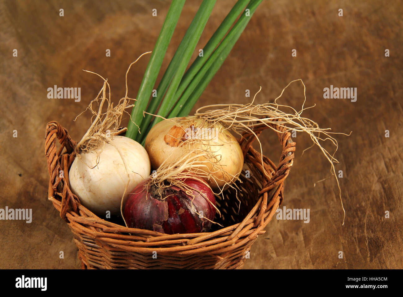 Gemüse, Zwiebeln, spanische Zwiebeln, Frühlingszwiebeln, Studiofotografie, antik, Stockfoto
