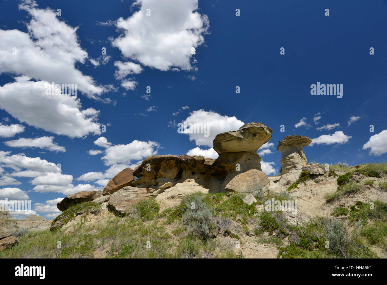 Felsformationen bekannt als Hoodoos, die Badlands, Dinosaur Provincial Park, Alberta, Kanada Stockfoto