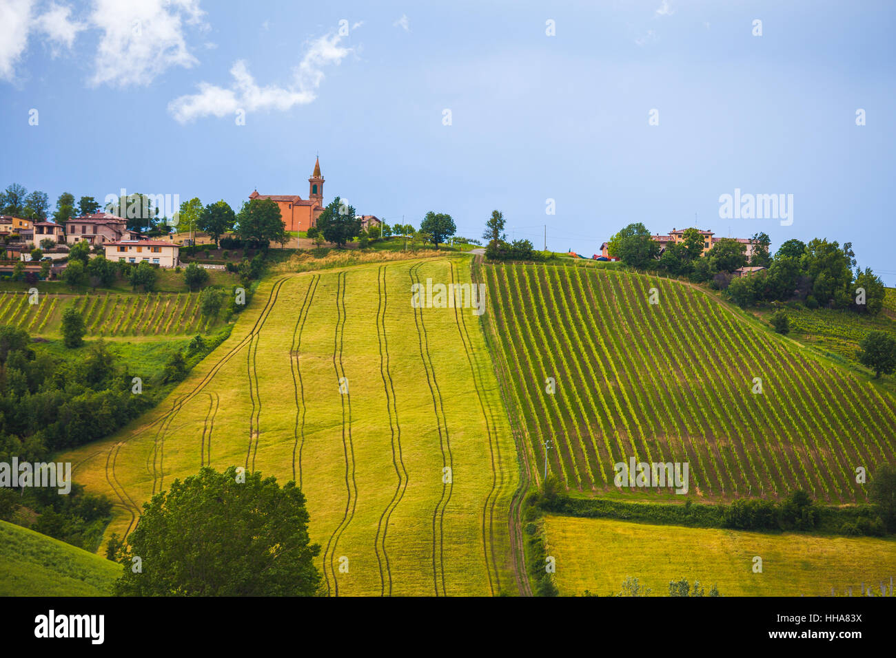 Corte D'Aibo, Italien-Weingut auf einem malerischen Hügel Stockfoto