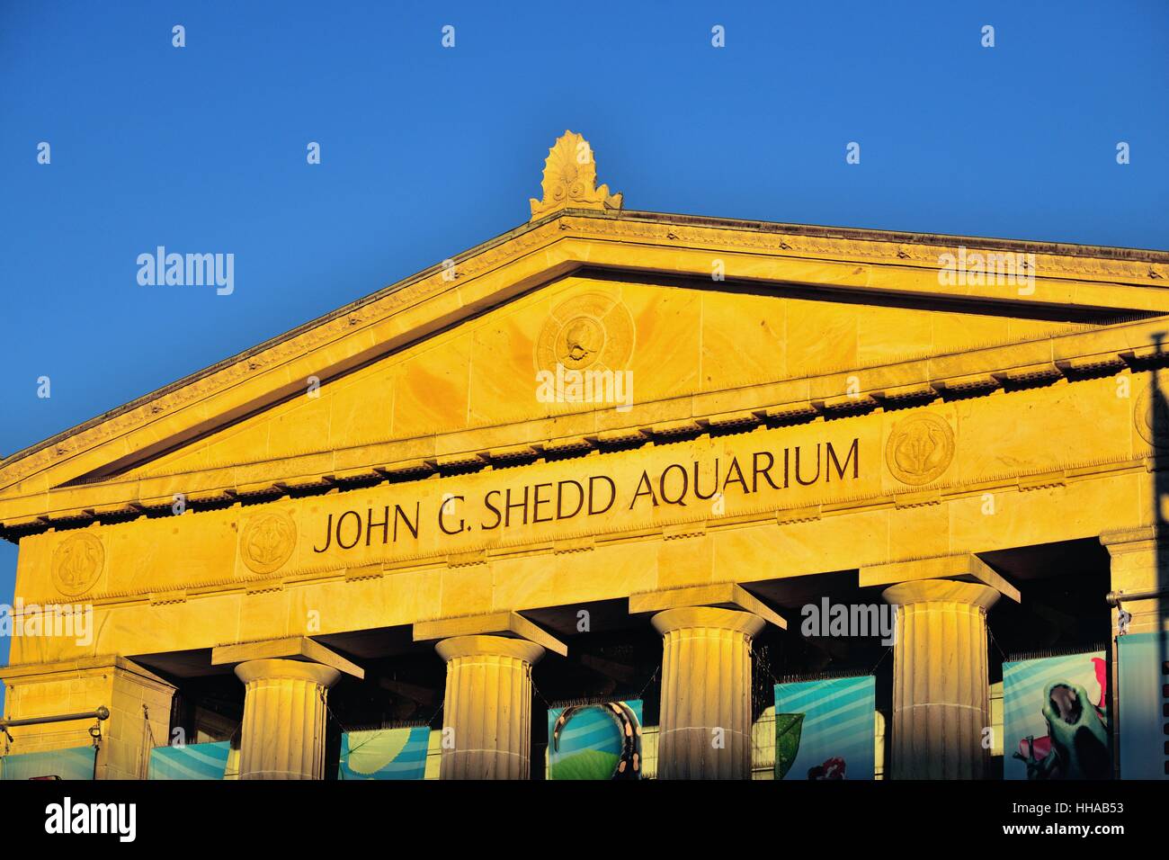 Shedd Aquarium Chicago reflektiert die letzten Strahlen der untergehenden Sonne auf einen späten Herbst Tag. Chicago, Illinois, USA. Chicago, Illinois, USA. Stockfoto