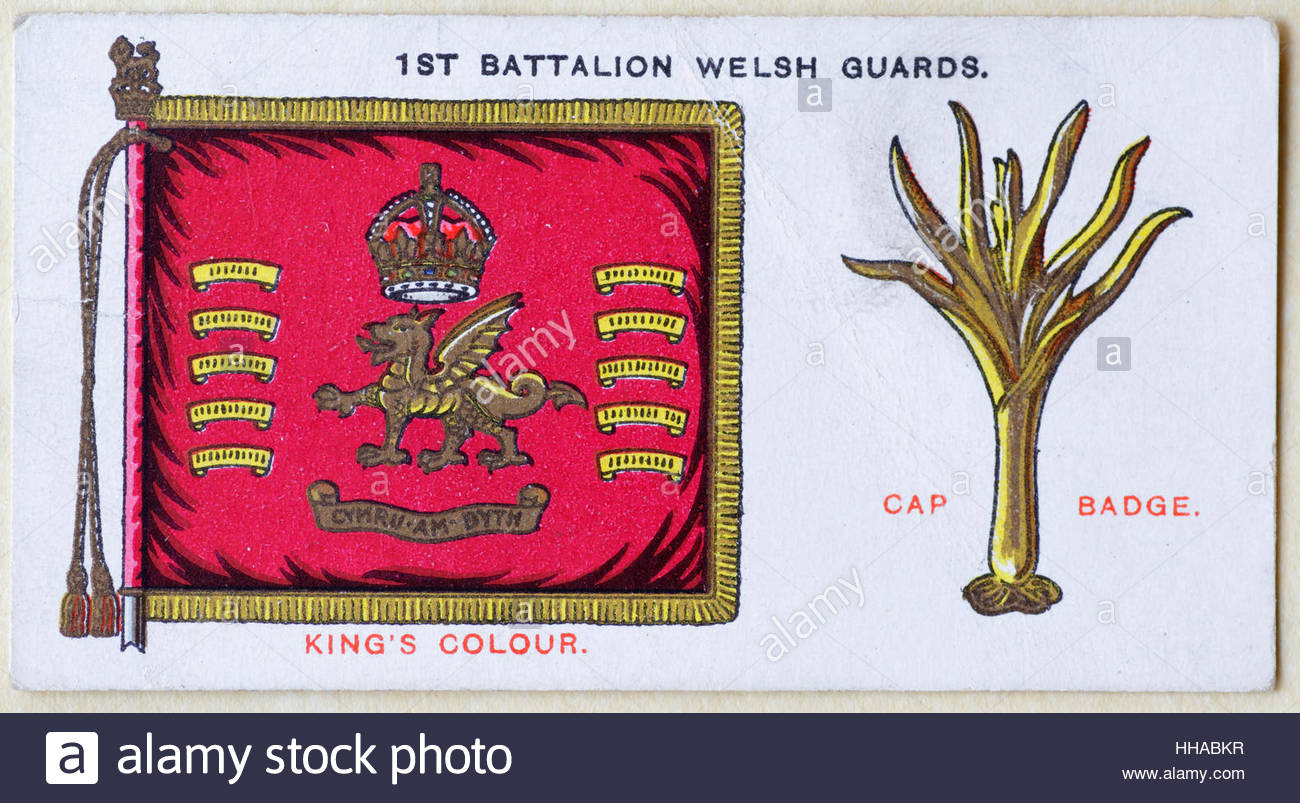 1. Bataillon Welsh Guards regimental Standard und Kappe Abzeichen Stockfoto