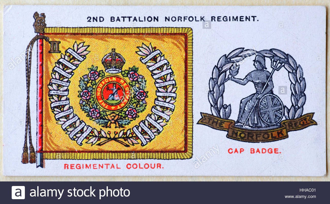 2. Bataillon Norfolk Regiment Regiments Standard und Kappe Abzeichen Stockfoto