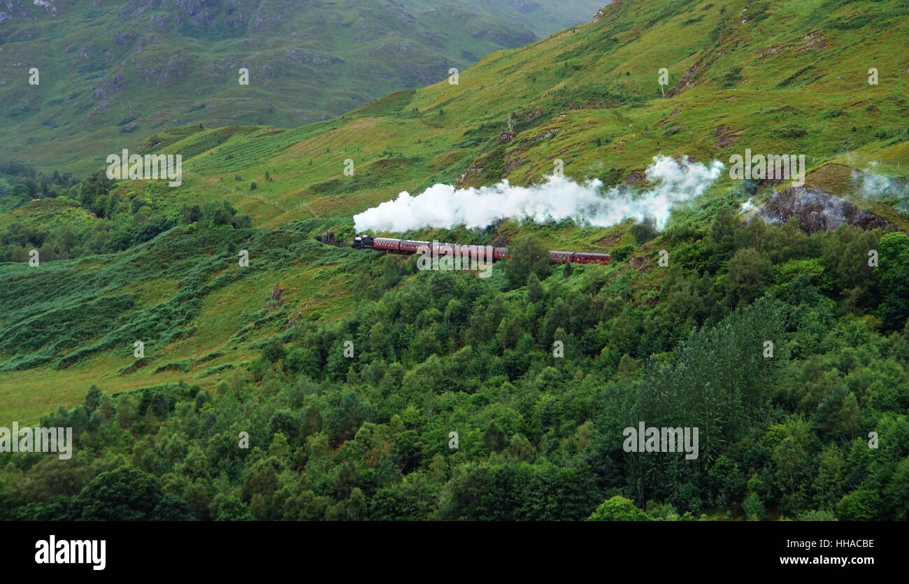 fantastische grüne Vegetation rund um den Jacobite Steam Train in der Nähe von Glenfinnan in Schottland Stockfoto