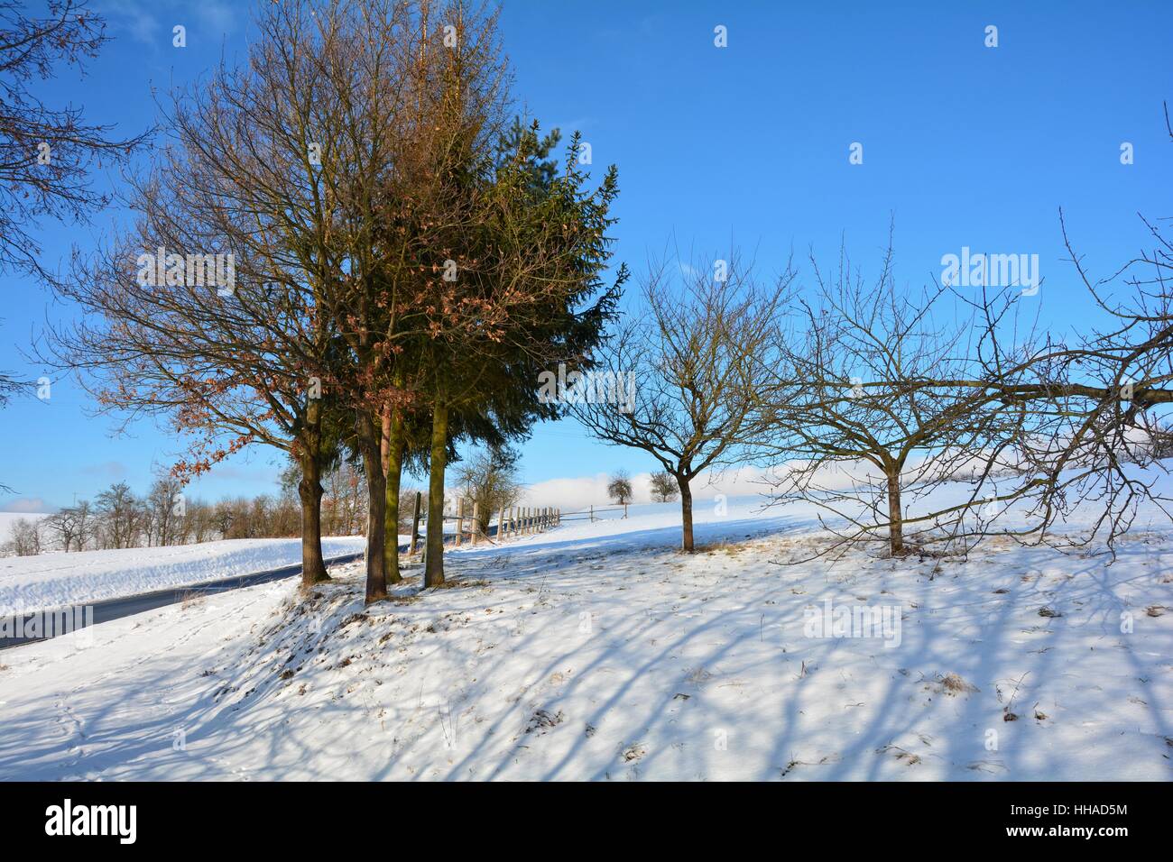 Verschneite Landschaft mit Bäumen, Straßen und blauer Himmel Stockfoto