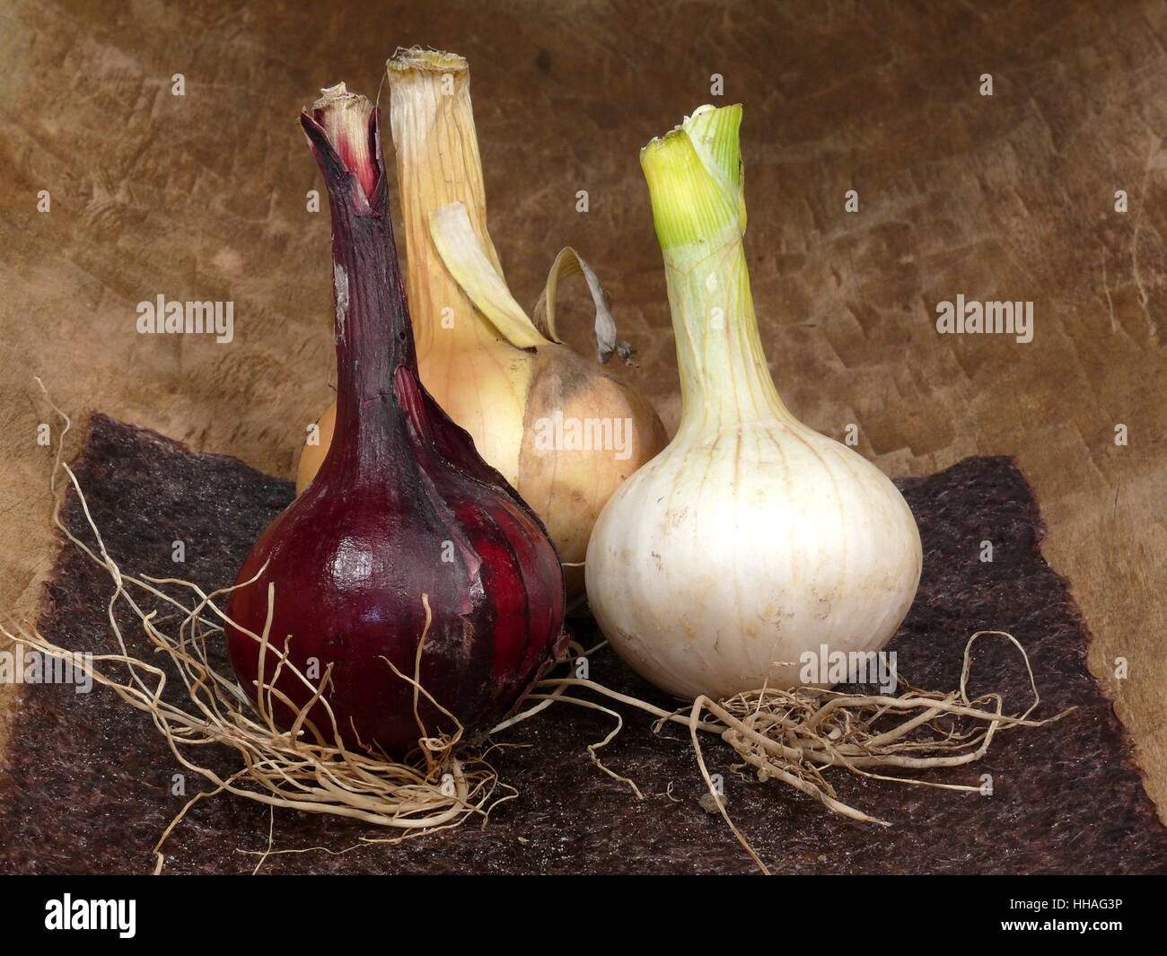 Gemüse, Zwiebeln, Lauch, Studiofotografie, antik, leer, europäische, Stockfoto
