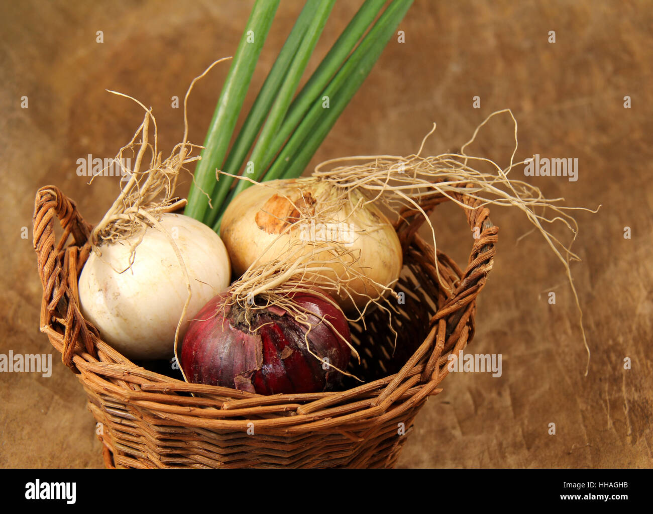 Gemüse, Zwiebeln, spanische Zwiebeln, Frühlingszwiebeln, Studiofotografie, antik, Stockfoto