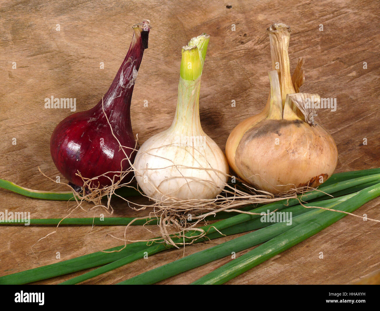 Gemüse-Zwiebeln Stockfoto