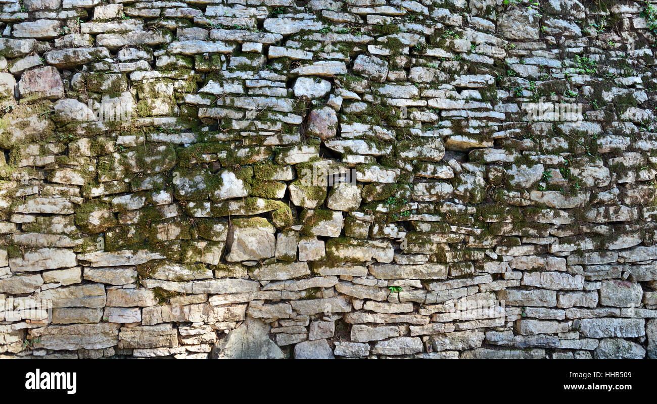 Moos-Steinmauer-Hintergrund Stockfoto