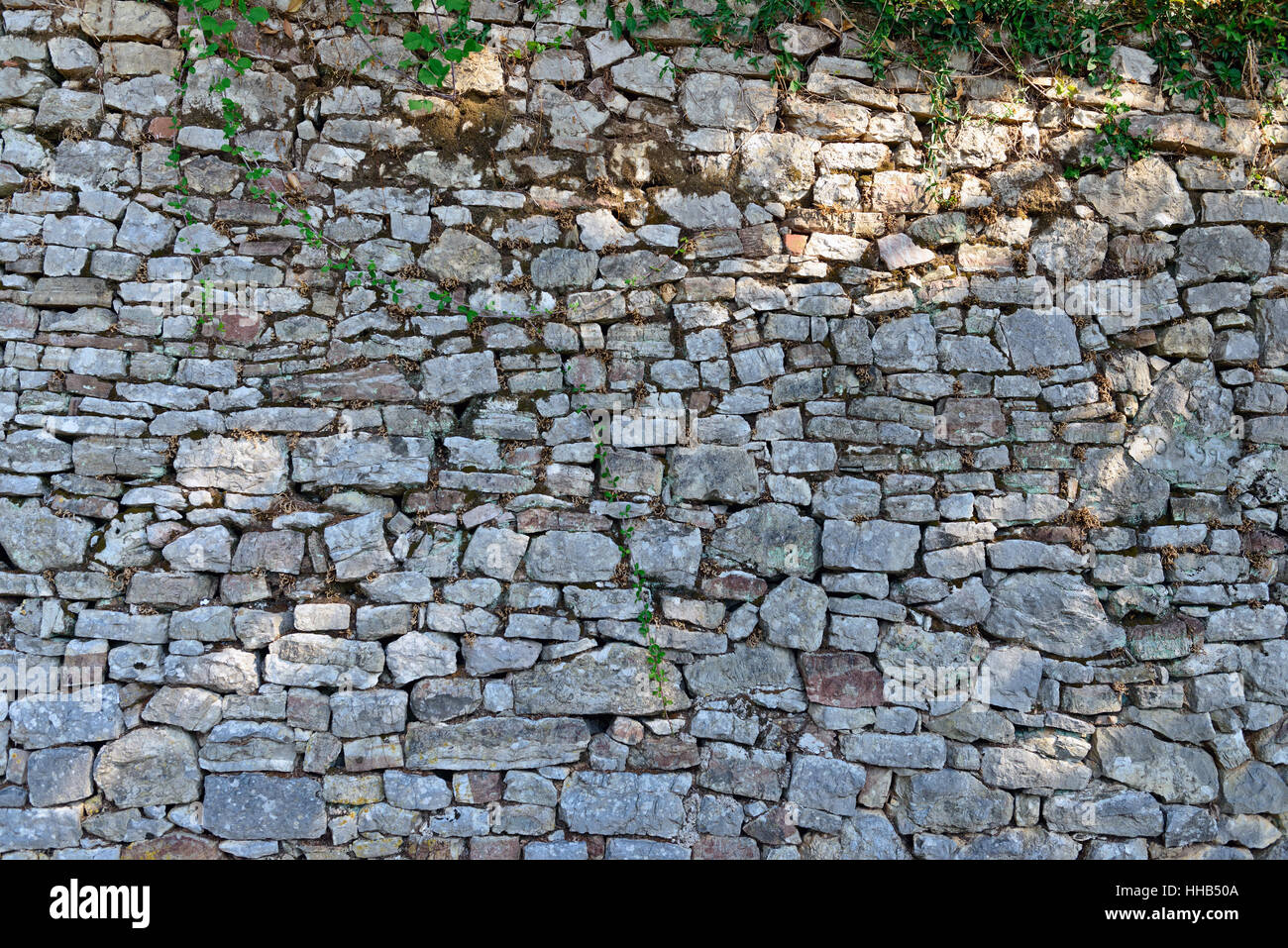 Moos wächst auf Steinmauer, Textur der Steinmauer bedeckt grünes Moos Stockfoto