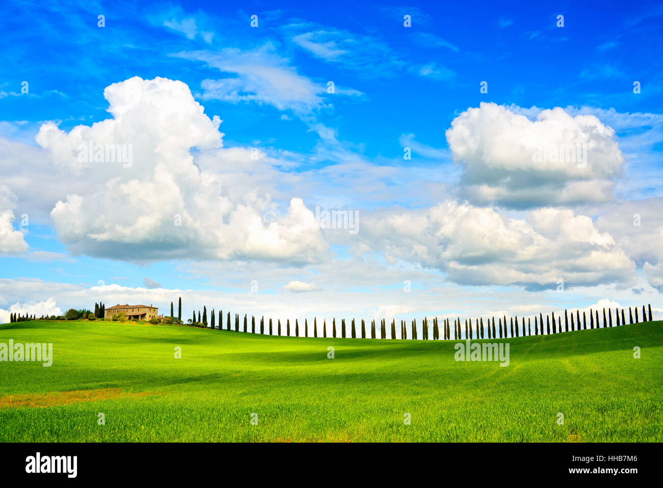 Toskana, Ackerland, Zypresse Bäume Zeile und gepflügtes Feld, Landschaft. Siena, Val d Orcia, Italien, Europa. Stockfoto