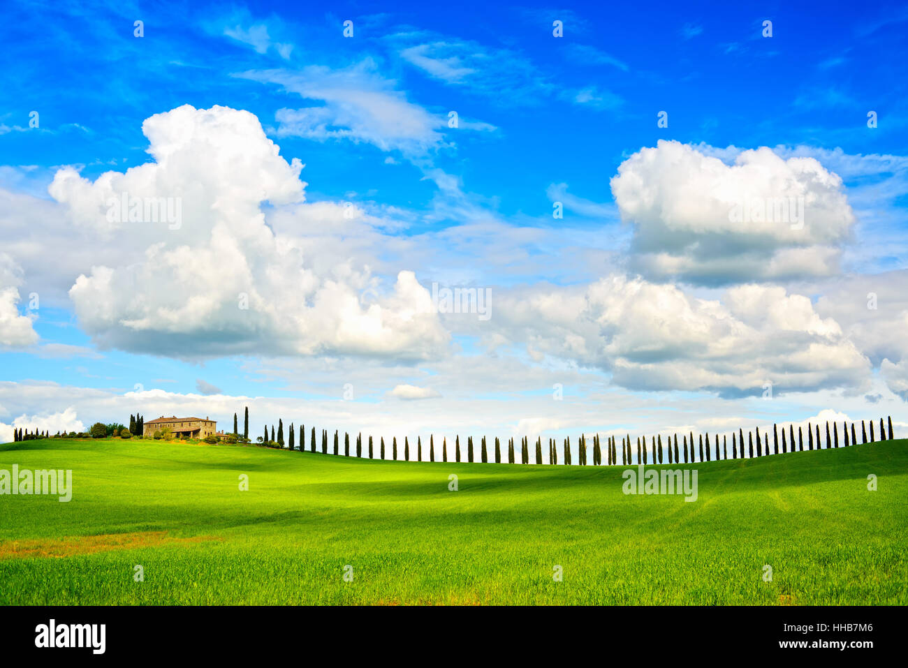 Toskana, Ackerland, Zypresse Bäume Zeile und gepflügtes Feld, Landschaft. Siena, Val d Orcia, Italien, Europa. Stockfoto