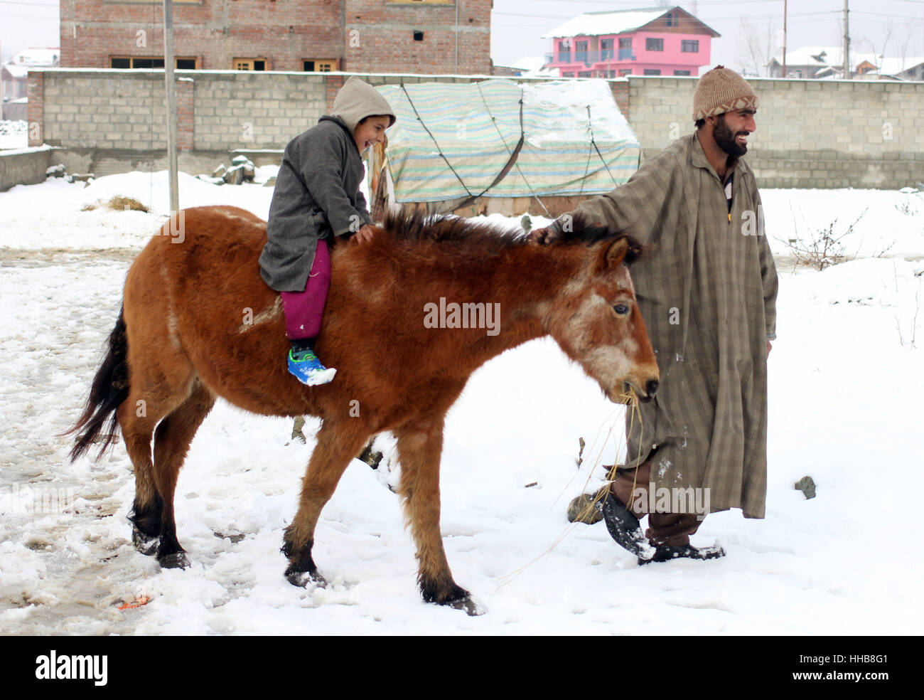 Srinagar, Indien. 18. Januar 2017. Ein Nomade unter seiner Tochter für ein Pferd Reiten inmitten von Schneefall und Knochen kühlen Kälte in Indien kontrollierten Kaschmir Hauptstadt-Srinagar. Wetterfrösche vorhergesagt haben mehr Schnee nächste Woche Credit: Umer Asif/Pacific Press/Alamy Live News Stockfoto