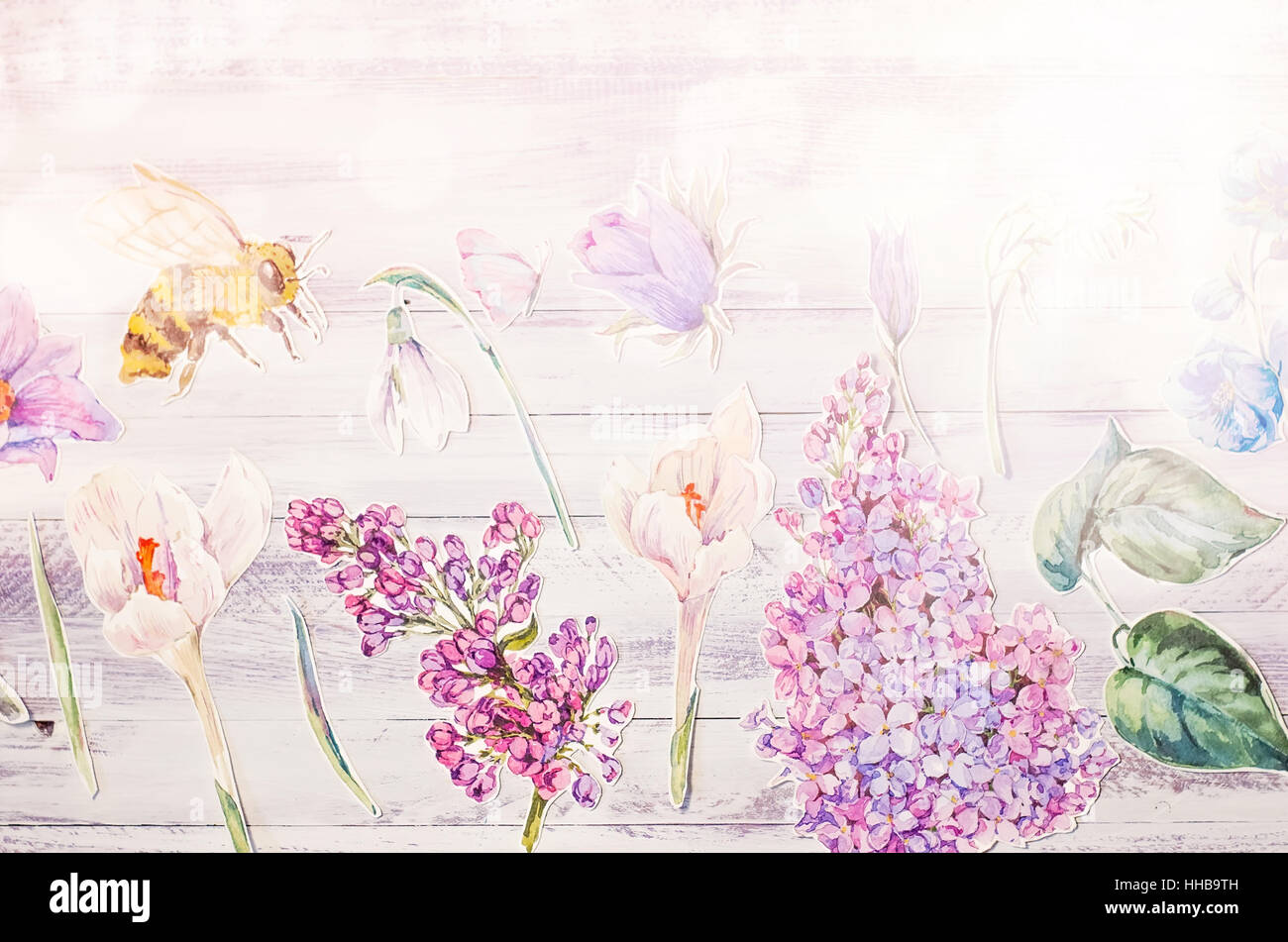 Frühling Blumendekoration mit Aquarell Papier lila Blüten auf weißem rustikalen hölzernen Grund, natürliche Collage, Draufsicht, Textfreiraum, selektive Fo Stockfoto