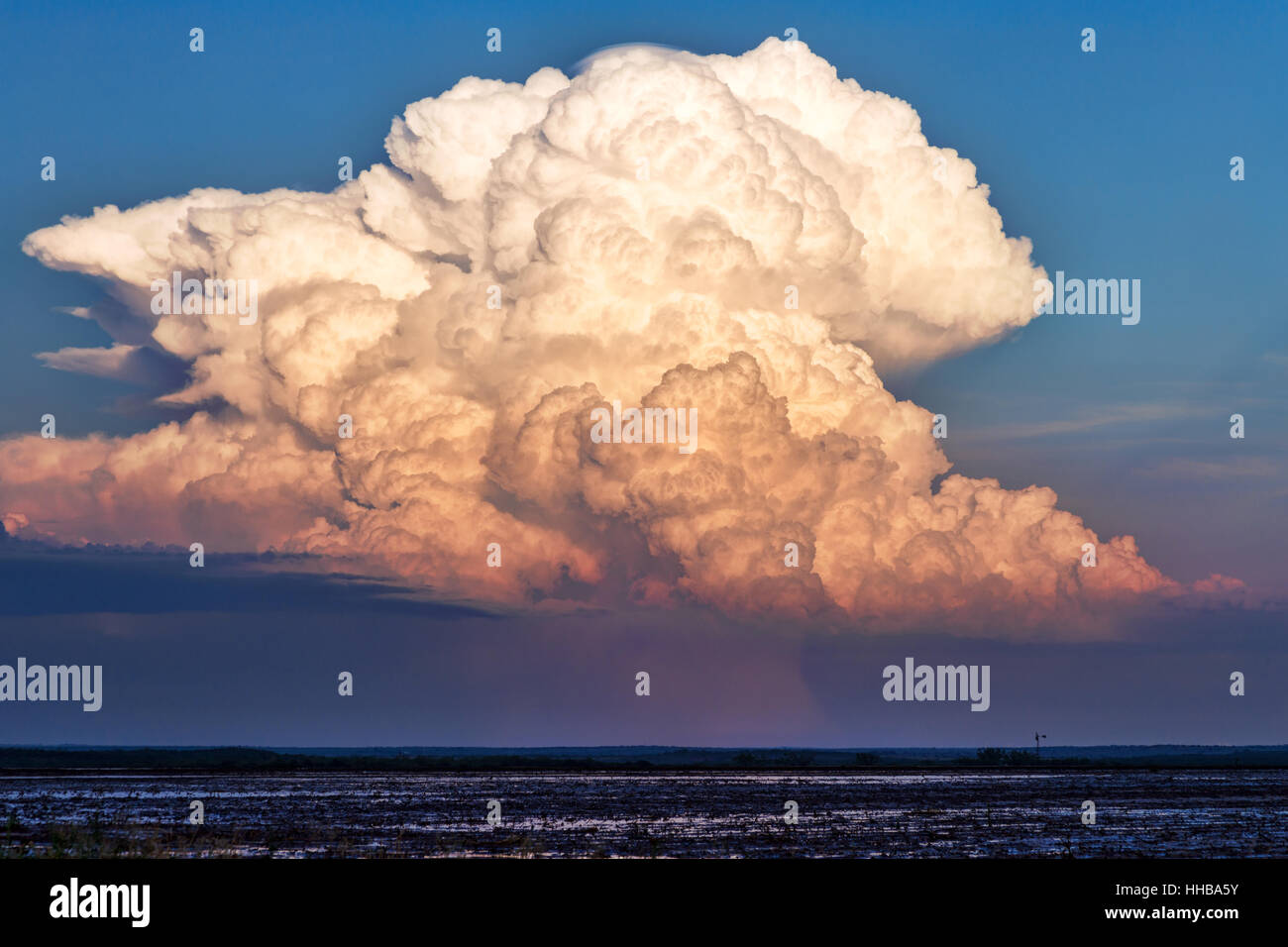 Cumulonimbus Wolken bei Sonnenuntergang Stockfoto
