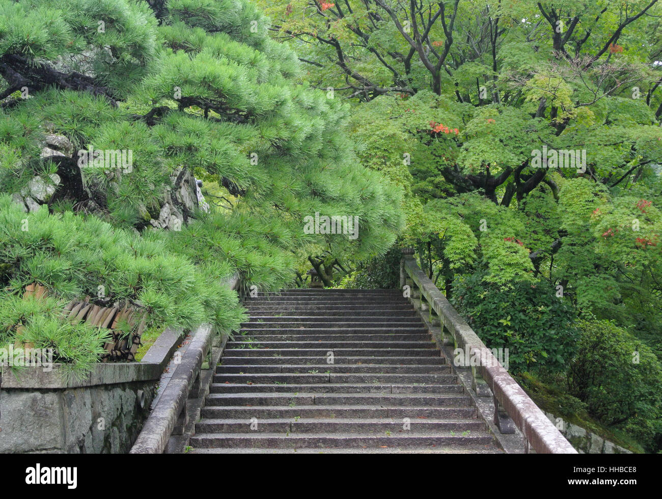 Regen bedeckt Bäume über Steinstufen innerhalb der Kiyomizu-Dera-Tempel in Kyoto Japan an einem bewölkten, regnerischen Tag. Stockfoto