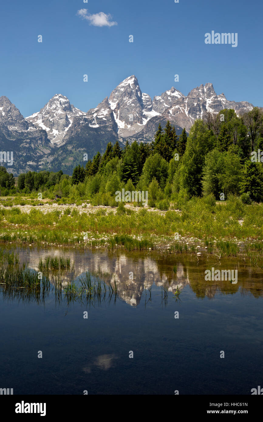 WYOMING - die Teton reflektiert in den Biber Teichen auf dem Snake River am Schwabacher Landung im Grand Teton National Park. Stockfoto