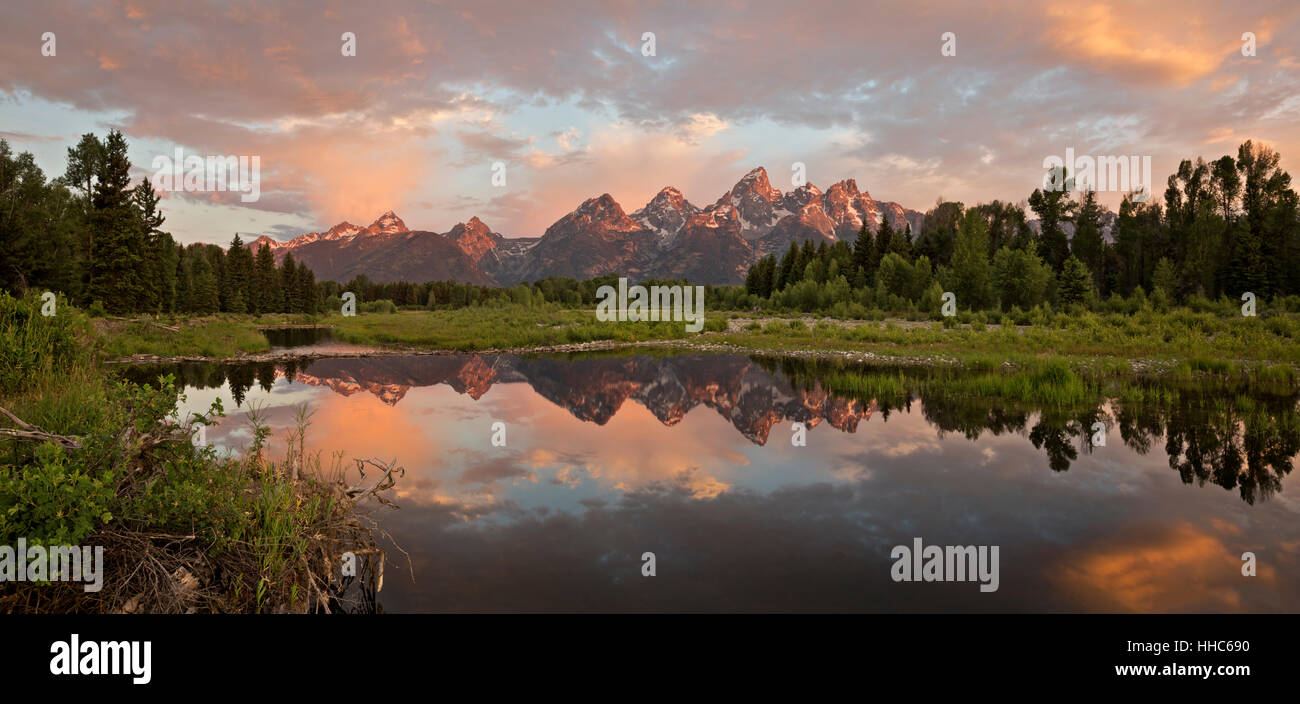 WYOMING - Panoramabild auf die Teton reflektiert in einem Biber Teich am Snake River bei Sonnenaufgang im Grand Teton National Park. Stockfoto
