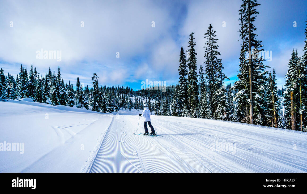 Frau Skifahren in einer Winterlandschaft auf den Ski-Hügeln von Sun Peaks in der Shuswap-Hochland von Zentral-British Columbia, Kanada Stockfoto