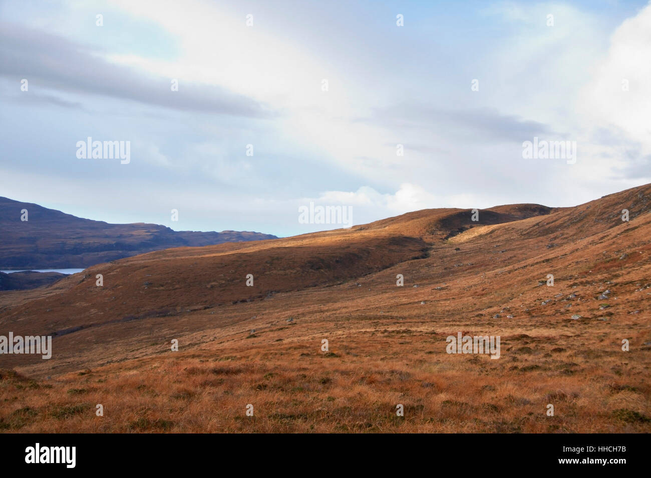 braune überwucherten Landschaft in Schottland in der Nähe von Stac Pollaidh Stockfoto