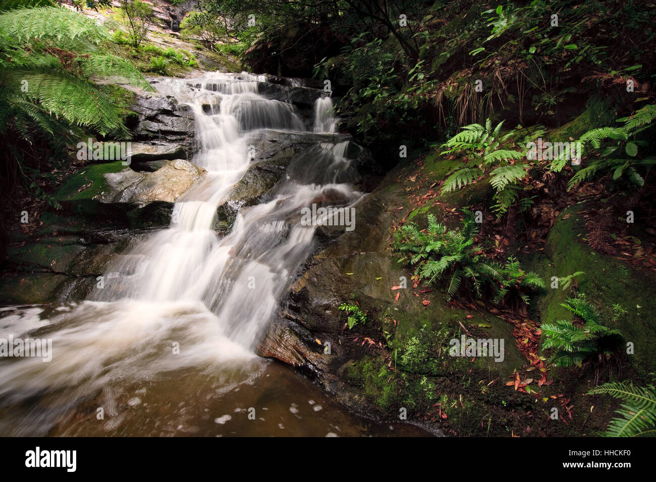Stream Kaskaden hinunter einen felsigen Abhang in einem australischen gemäßigten Regenwald. Stockfoto