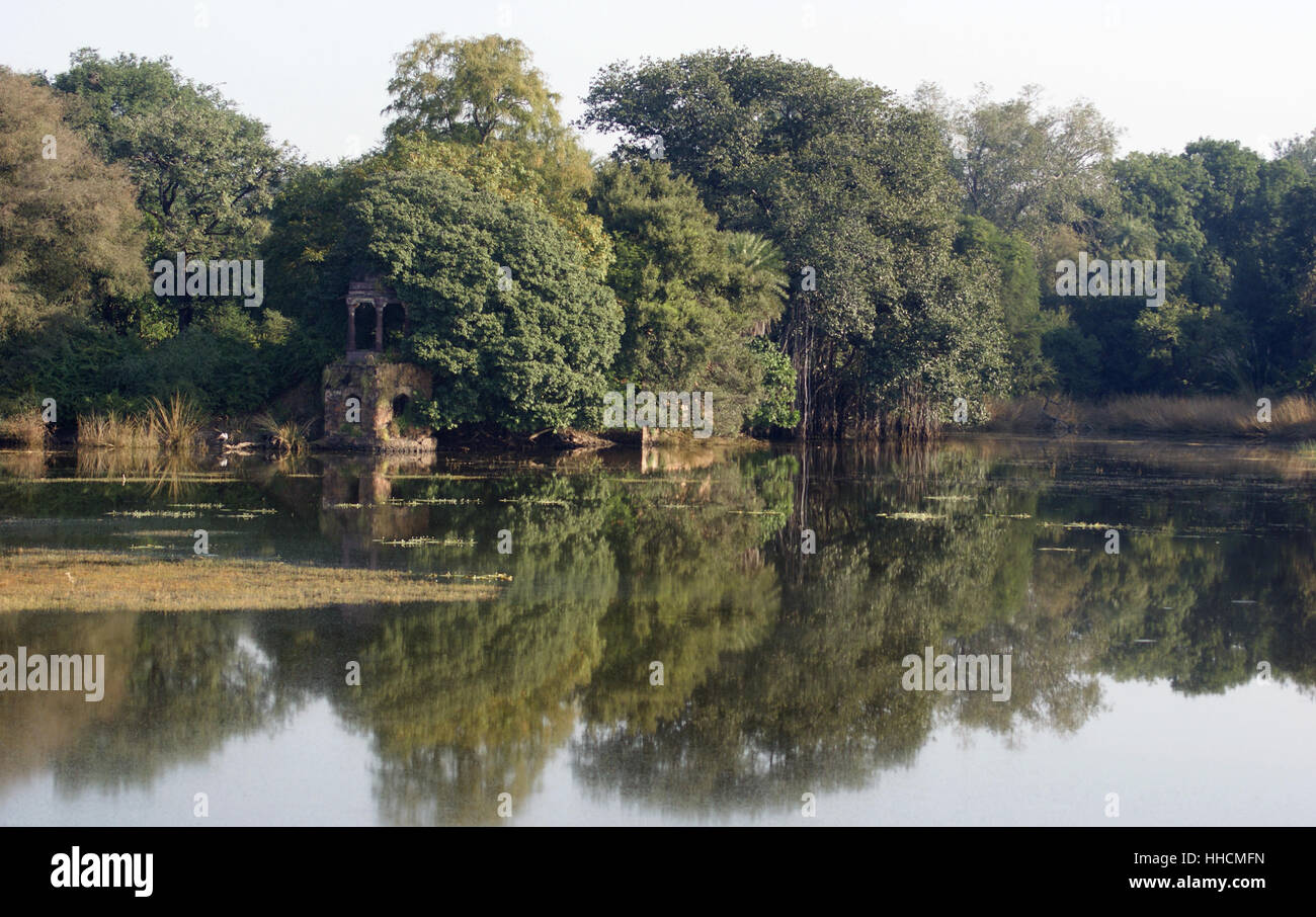 Denkmal, Baum, Urwald, Indien, Dschungel, Wasserlauf, Ruine, Stil Stockfoto