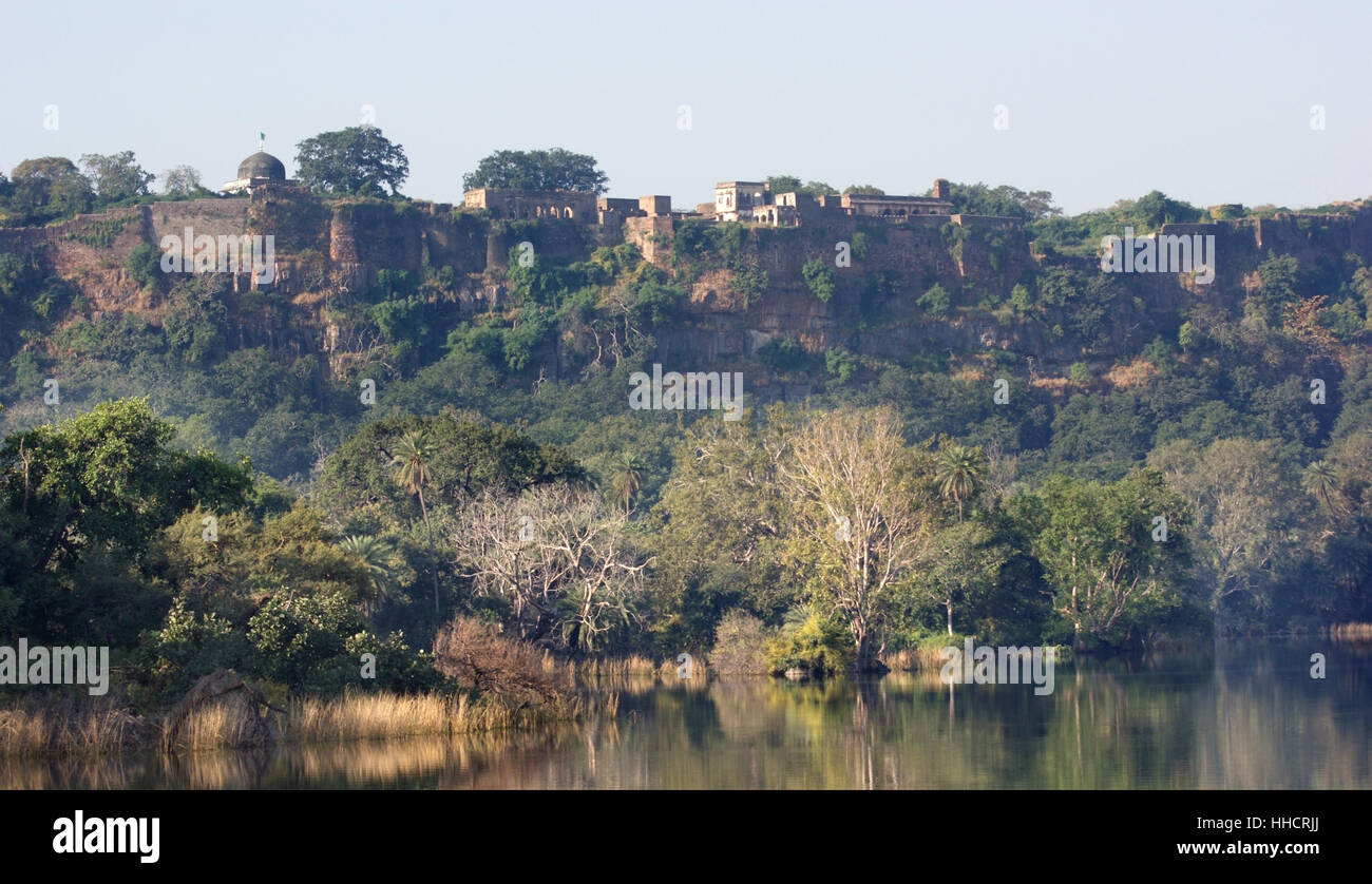 Denkmal, Baum, Urwald, Indien, Dschungel, Wasserlauf, Ruine, Stil Stockfoto