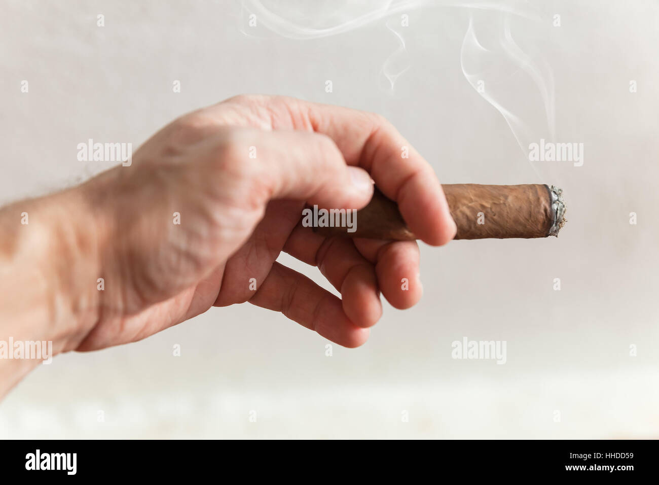 Handgemachte Zigarre in männlicher Hand, Nahaufnahme Foto mit selektiven Fokus über weiße Wand Hintergrund Stockfoto