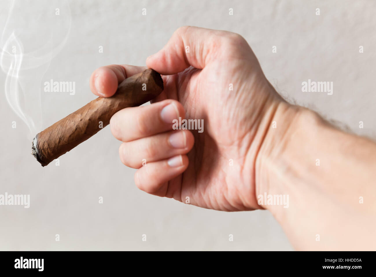 Handgemachte Zigarre in männlicher Hand, Nahaufnahme Foto mit selektiven Fokus über weiße Wand Hintergrund Stockfoto
