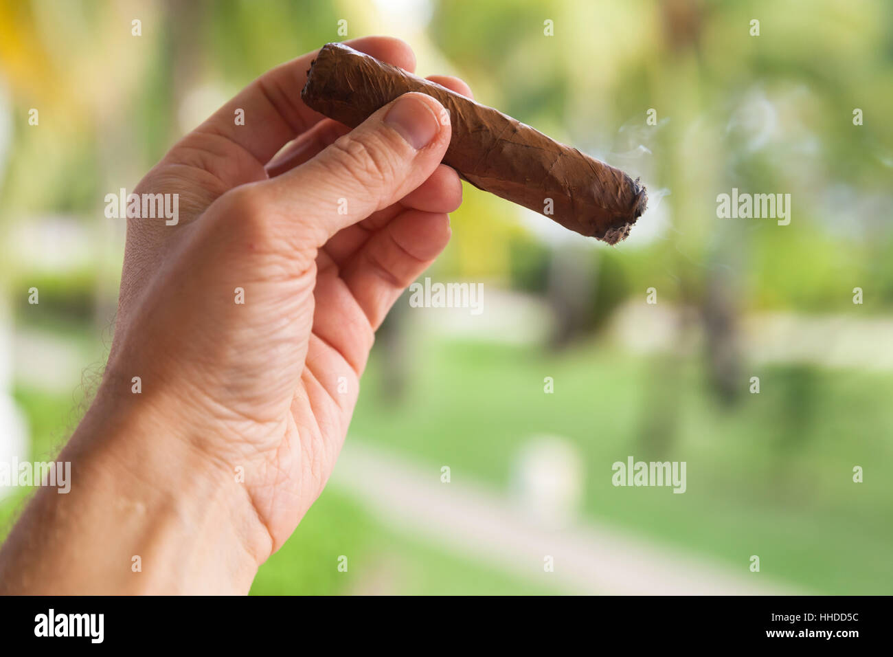 Handgemachte Zigarre in männlicher Hand, Nahaufnahme Foto mit selektiven Fokus Stockfoto
