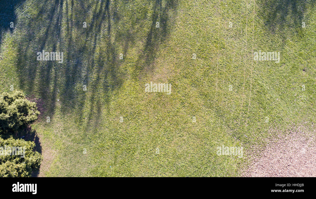 Luftaufnahme von einem Park mit Bäumen und Rasen, Blätter, Grünanlage, Ökologie Stockfoto
