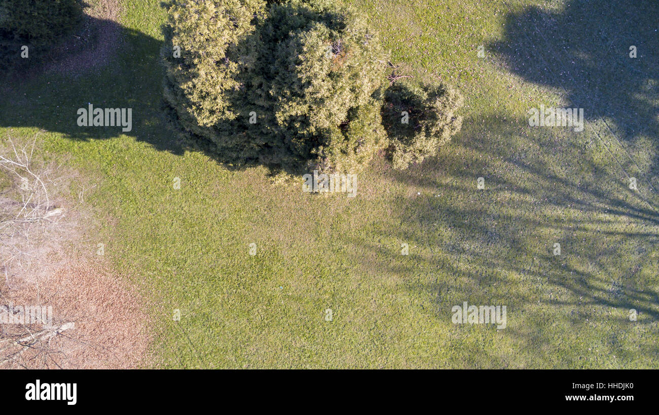 Luftaufnahme von einem Park mit Bäumen und Rasen, Blätter, Grünanlage, Ökologie Stockfoto