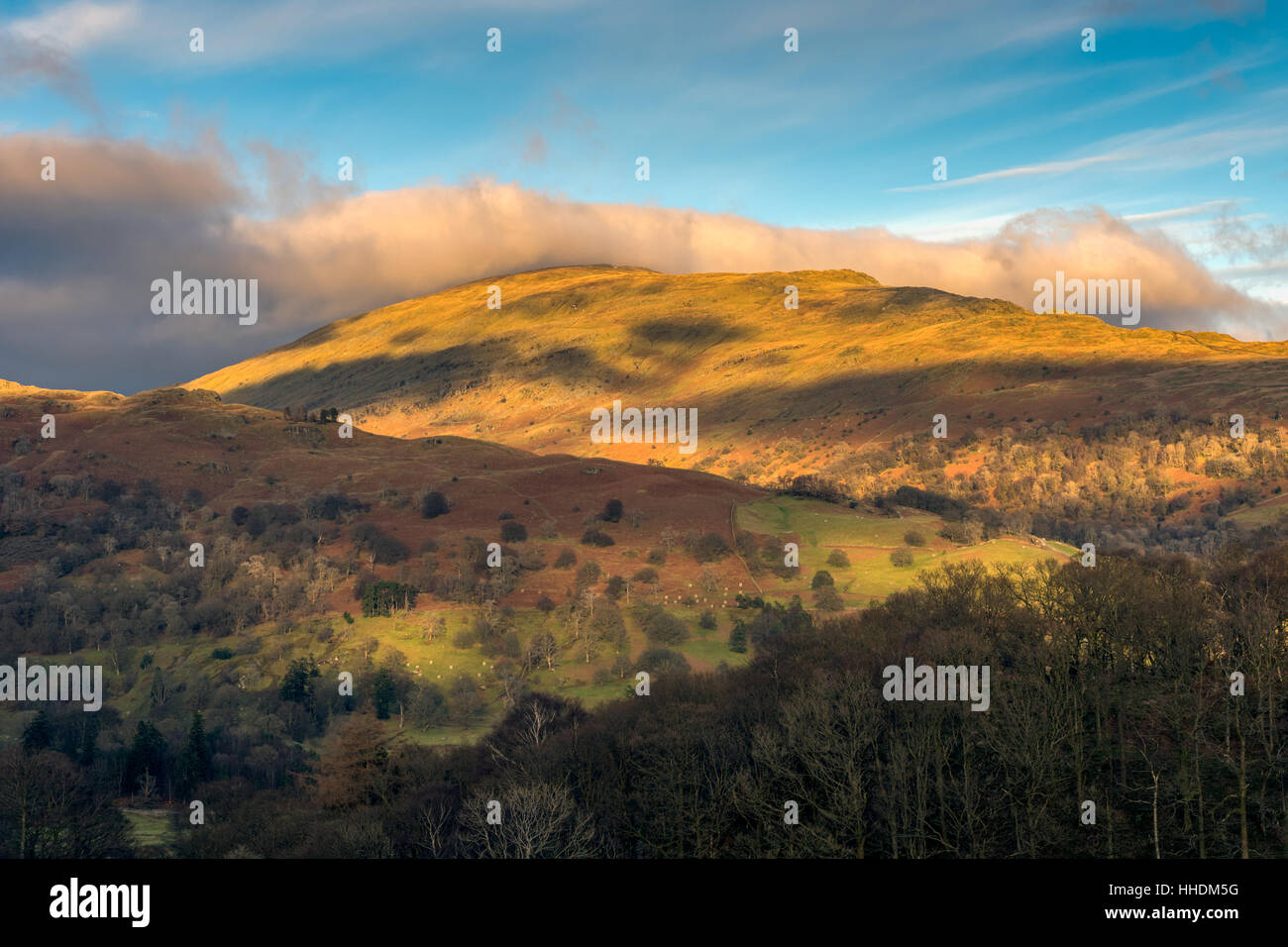 Rot Geröllhalden begrenzt in Cloud von Loughrigg Fell Stockfoto