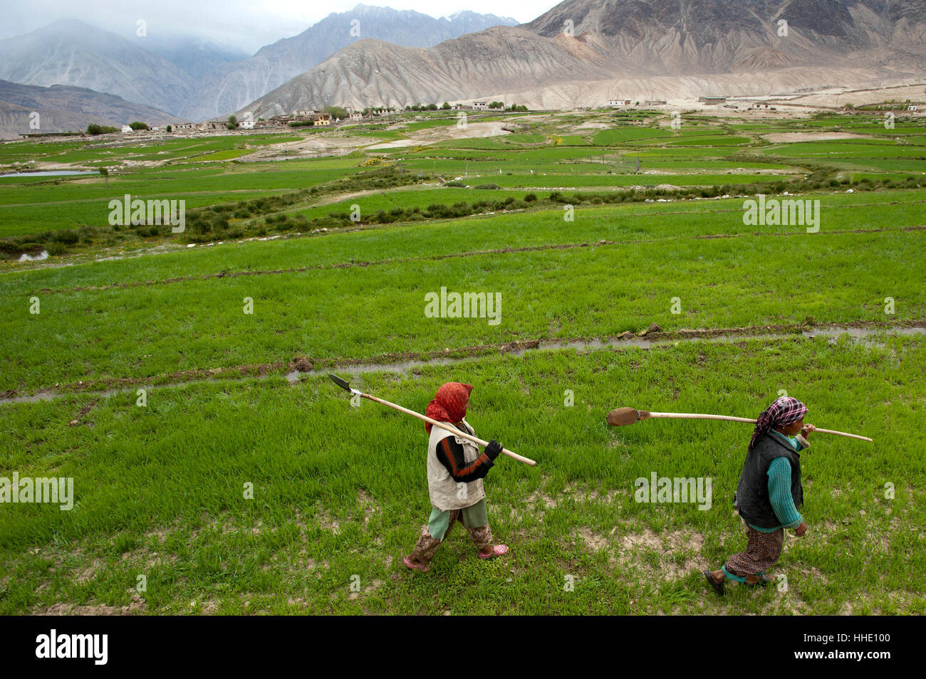 Bäuerinnen tragen Bewässerung Werkzeuge wie kleinen Spaten verwendet, um das kostbare Wasser zu ihren Feldern, Ladakh, Indien Stockfoto