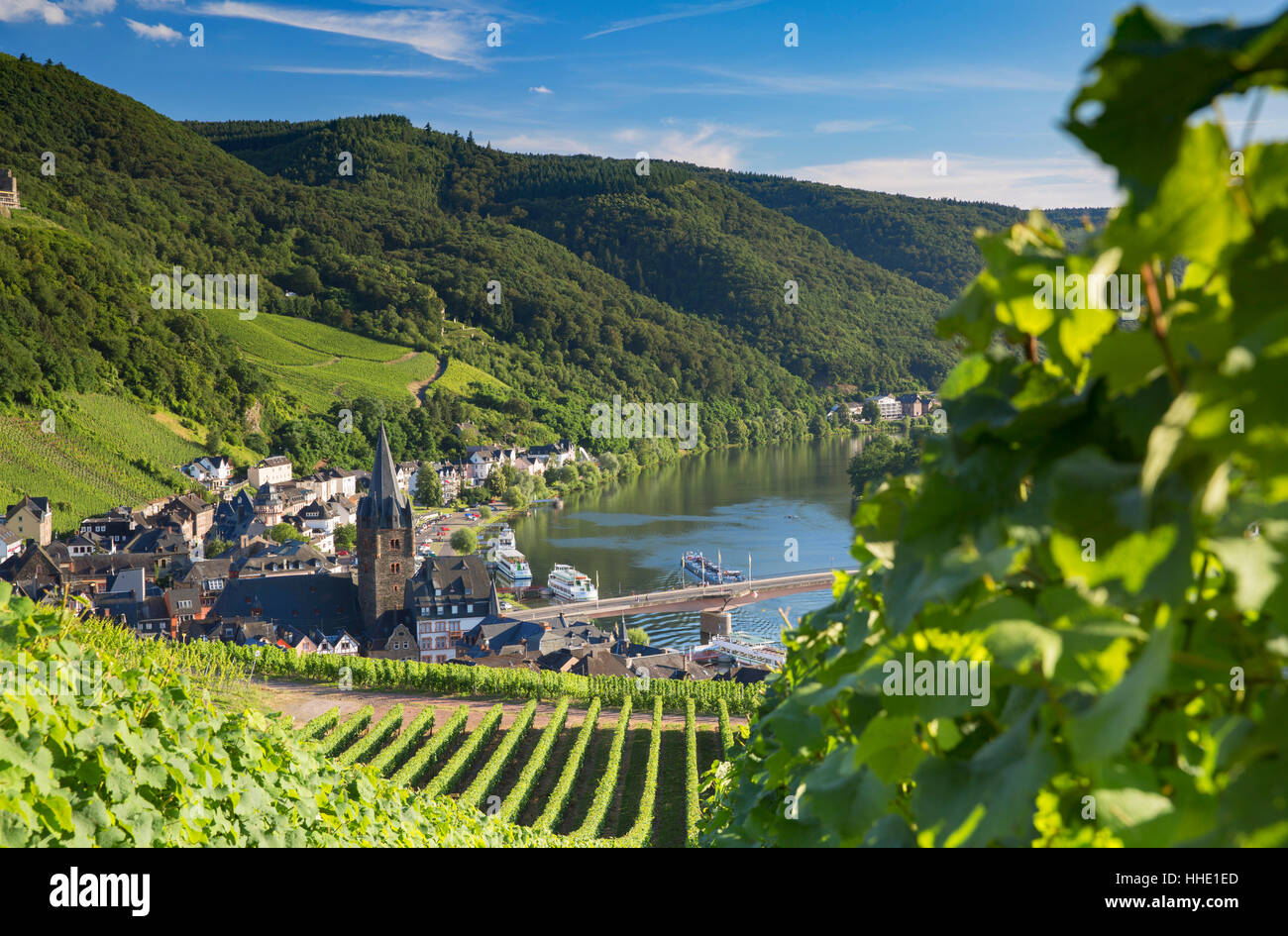 Blick auf Weinberge und Mosel, Bernkastel-Kues, Rheinland-Pfalz, Deutschland Stockfoto