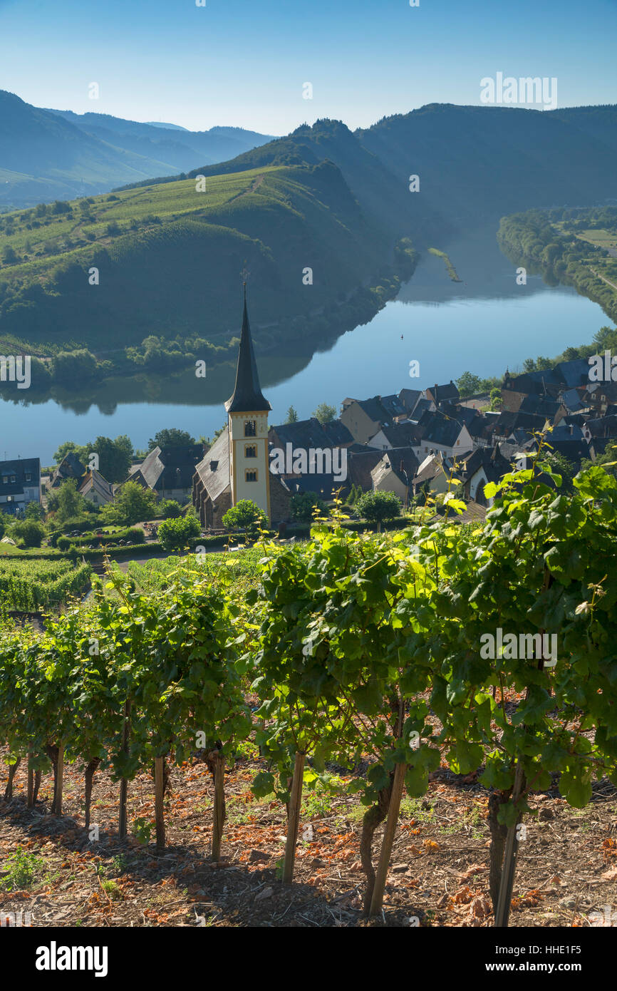 Blick auf Mosel und St.-Laurentius Kirche, Bremm, Rheinland-Pfalz, Deutschland Stockfoto