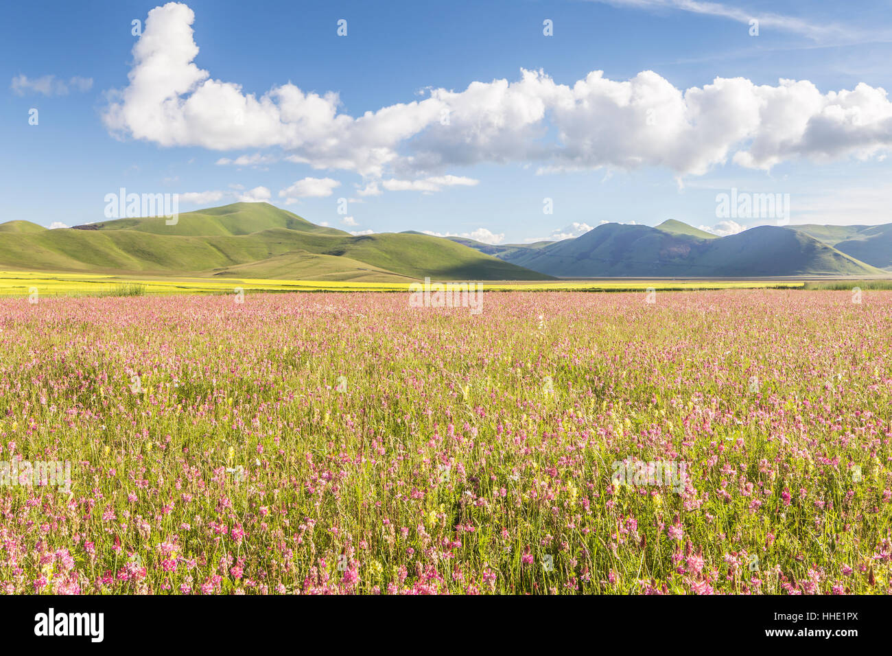 Die Piano Grande in den Monti Sibillini, Umbrien, Italien Stockfoto