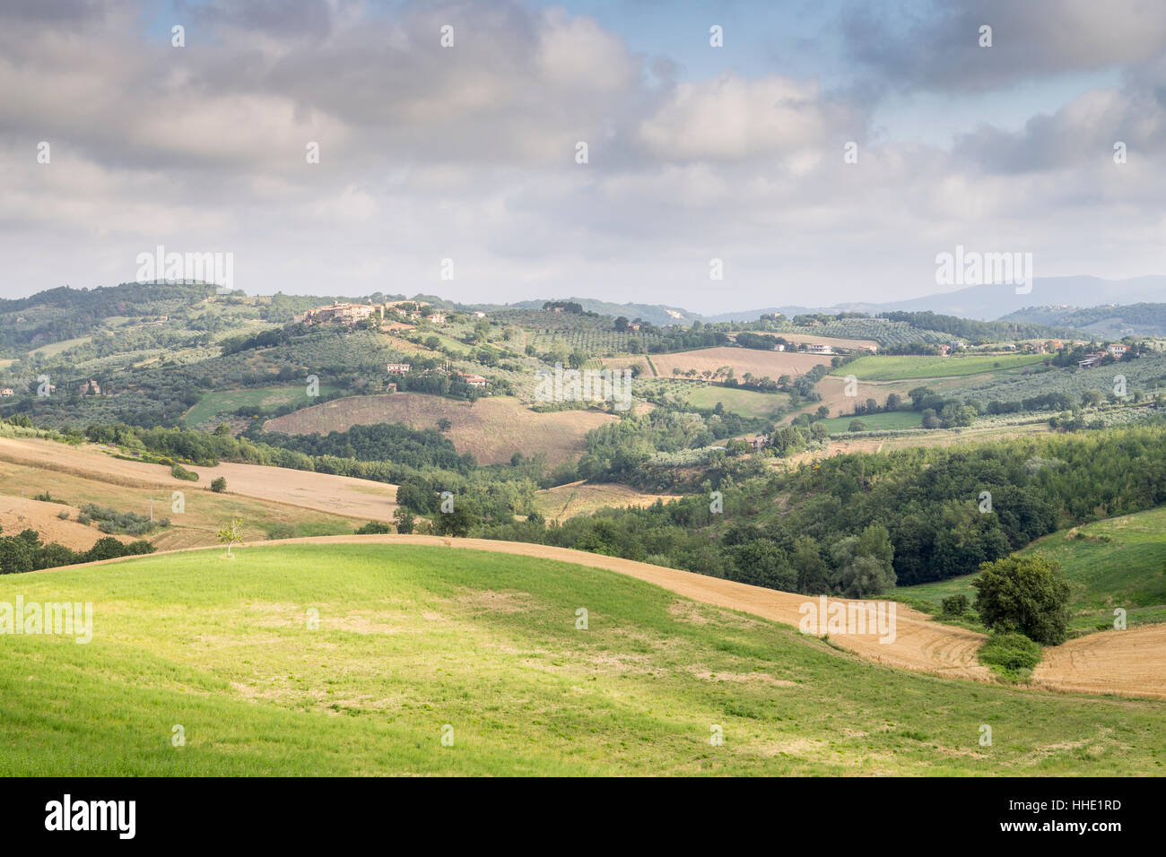 Hügellandschaft des Val di Spoleto, Umbrien, Italien Stockfoto