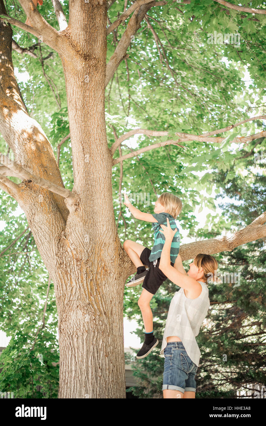 Zwei Kinder, Bruder und Schwester, die einen Baum klettern. Stockfoto
