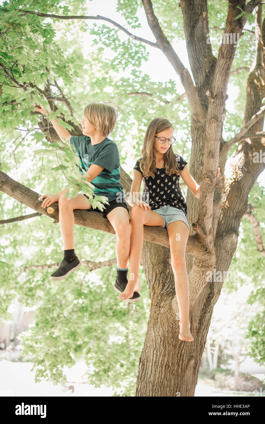 Zwei Kinder, Bruder und Schwester, die einen Baum klettern. Stockfoto