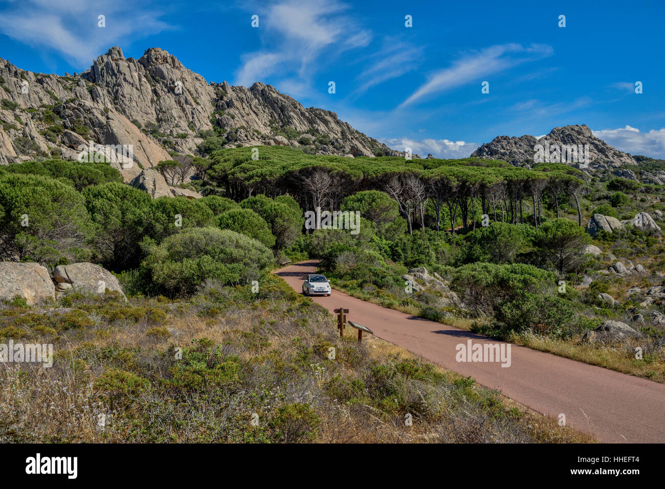 Berglandschaft mit Kiefer, Auto unterwegs, Caprera Insel, Provinz Olbia-Tempio, Sardinien, Italien Stockfoto