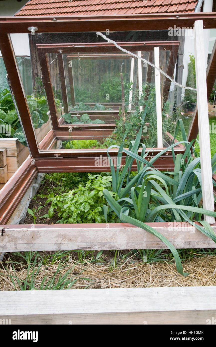 Garten, erhaben Bett Stockfoto