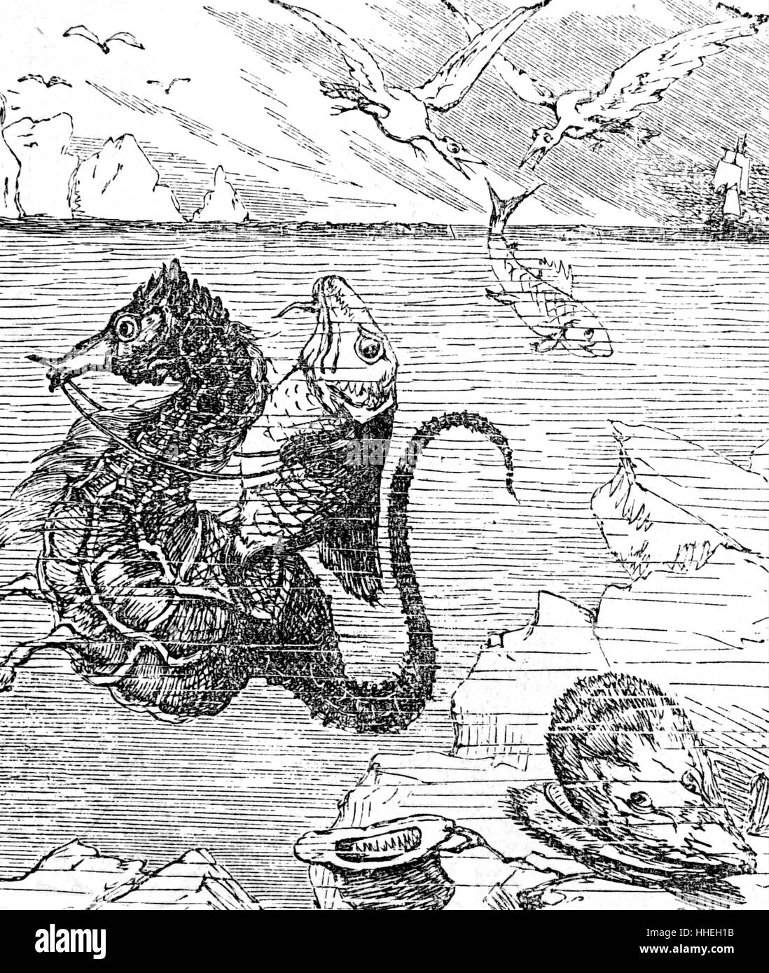 Abbildung zeigt ungewöhnliche Sea Life und Kreaturen. Vom 19. Jahrhundert Stockfoto