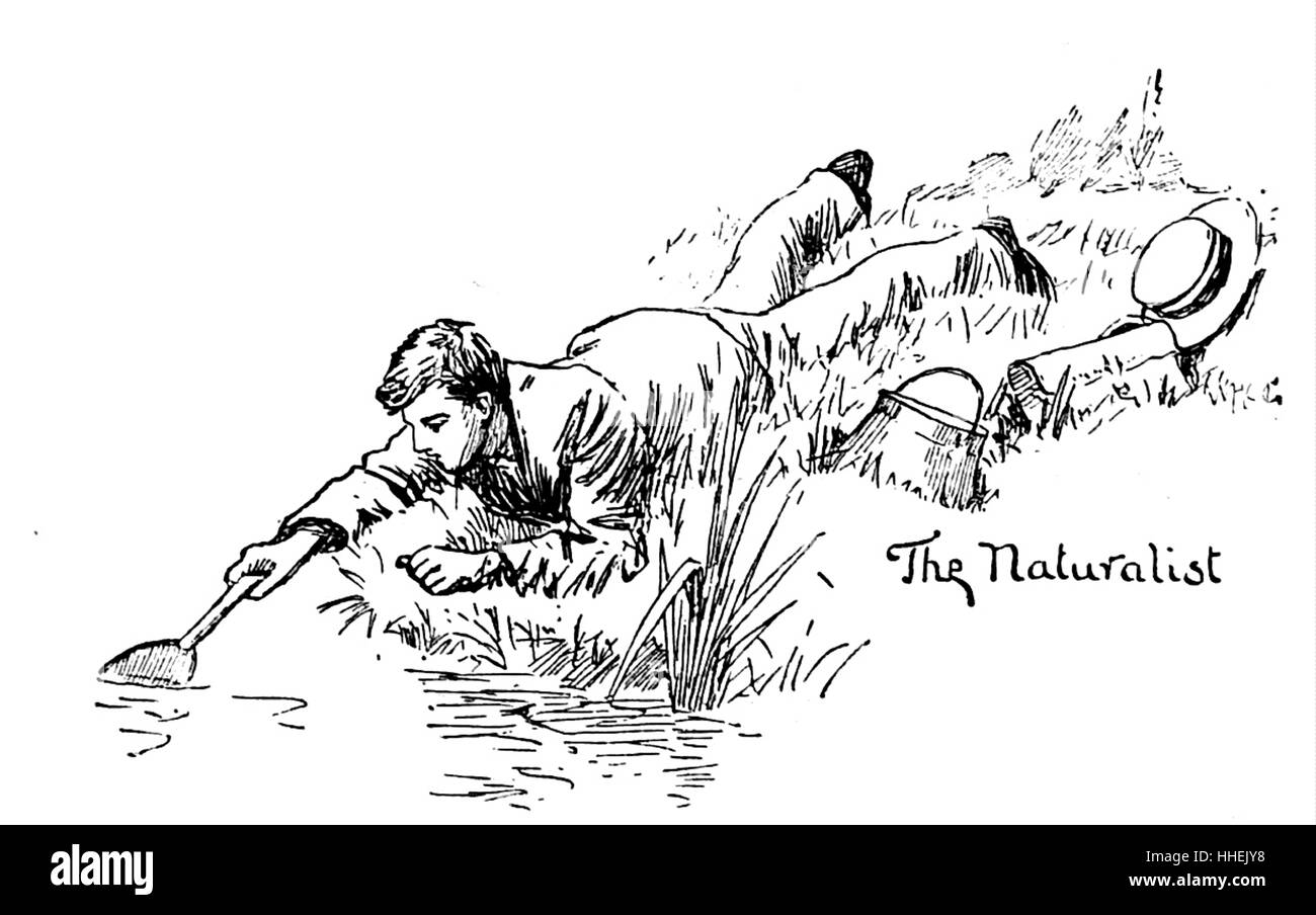 Abbildung mit dem Titel "The Naturalist' Darstellung ein kleinen Jungen. Vom 19. Jahrhundert Stockfoto