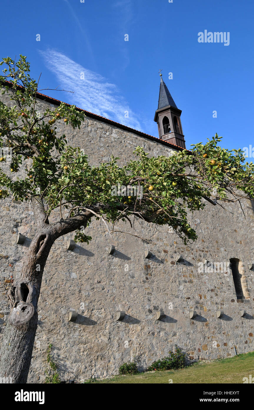 Kirche, Apfel Baum, Norddeutschland, Niedersachsen, Religion, Kirche, Baum, Stockfoto