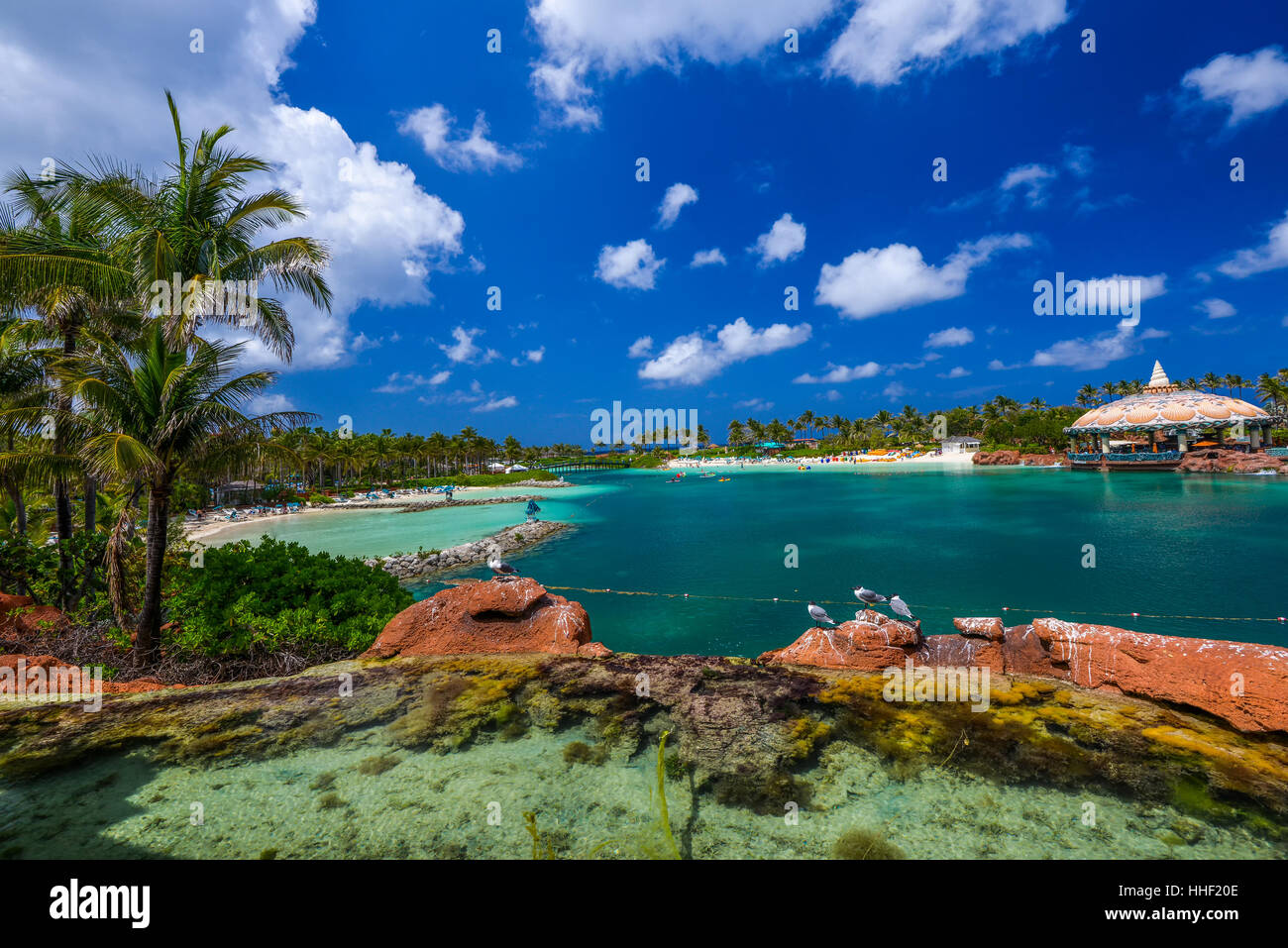 Strand mit Palmen und kristallklarem Wasser in natürlichem Licht Stockfoto