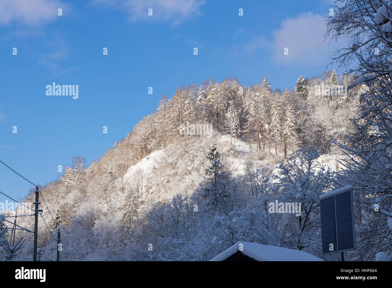 Winter in den Alpen Wald Österreich Stockfoto